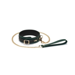 "7 Sensational Reasons This Dark Green LE Premium Collar & Leash Elevates Playtime"