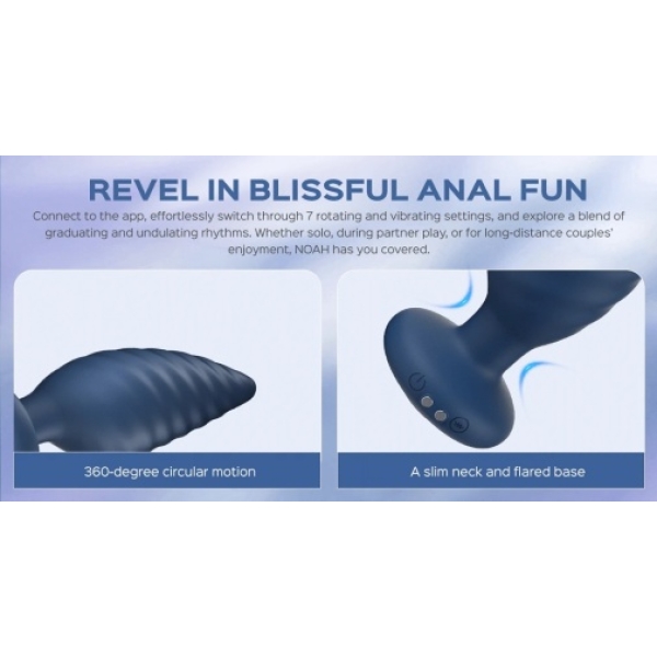 5 Sensational Reasons to Try the Noah Rotating Butt Plug in Purple Today!