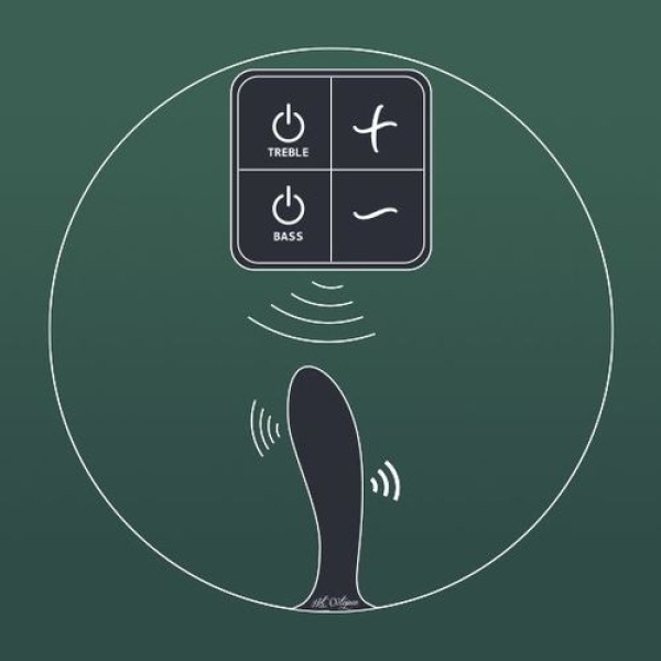 6 Sensational Reasons PleX with Flex Butt Plug Will Revolutionize Your Pleasure