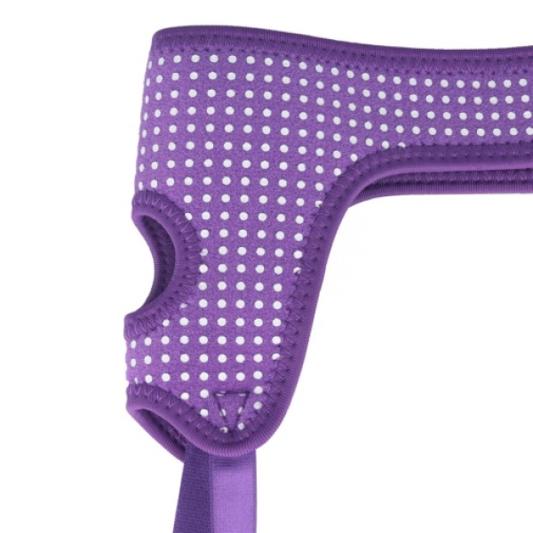 7 Reasons the Polka Dots Easy Strap-On Harness in Purple Will Spice Up Your Playtime
