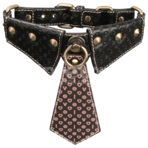 5 Reasons This Rebellious Collar Will Ignite Your Wildest Desires Tonight