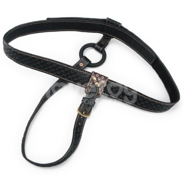 5 Reasons the Rebellion Reign Strap-On Harness Will Revolutionize Your Playtime