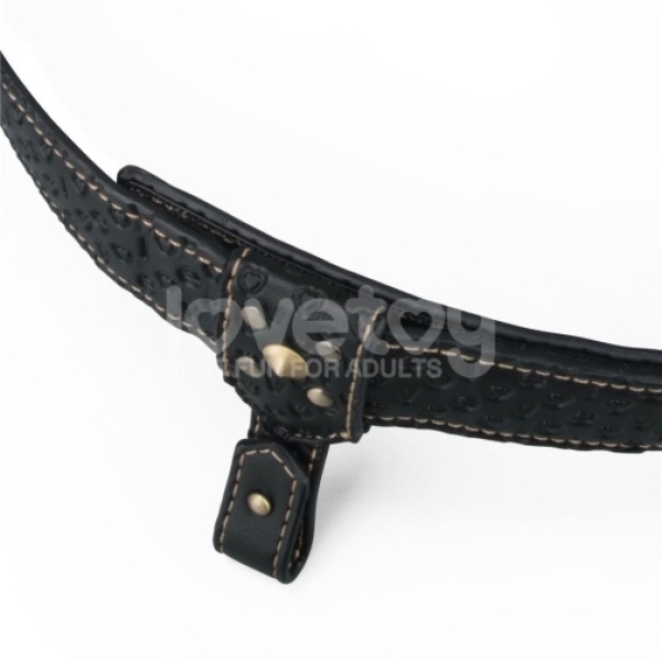5 Reasons the Rebellion Reign Strap-On Harness Will Revolutionize Your Playtime