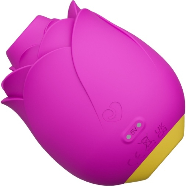 7 Pleasure Surprises with Rose Clitoral Stimulator - Violet for Ultimate Bliss