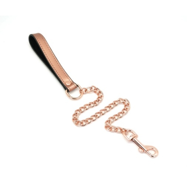 5 Sensational Reasons This Rose Gold Collar w/ Leash Will Elevate Your Playtime