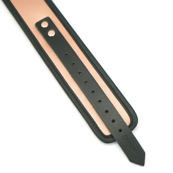 5 Sensational Reasons This Rose Gold Collar w/ Leash Will Elevate Your Playtime