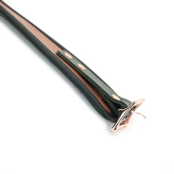 5 Sensational Reasons This Rose Gold Collar w/ Leash Will Elevate Your Playtime