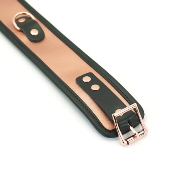 5 Sensational Reasons This Rose Gold Collar w/ Leash Will Elevate Your Playtime