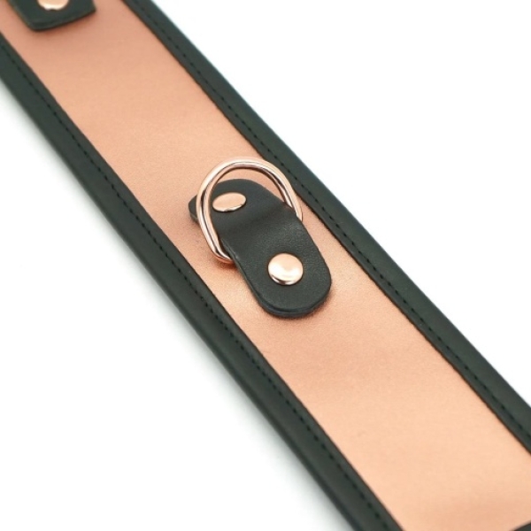 5 Sensational Reasons This Rose Gold Collar w/ Leash Will Elevate Your Playtime