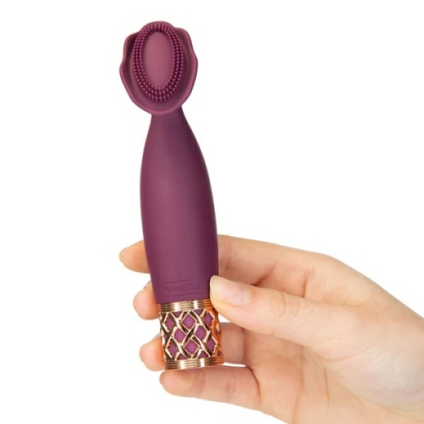 5 Sensational Reasons the Secrets Passion Massager - Purple Will Elevate Your Pleasure