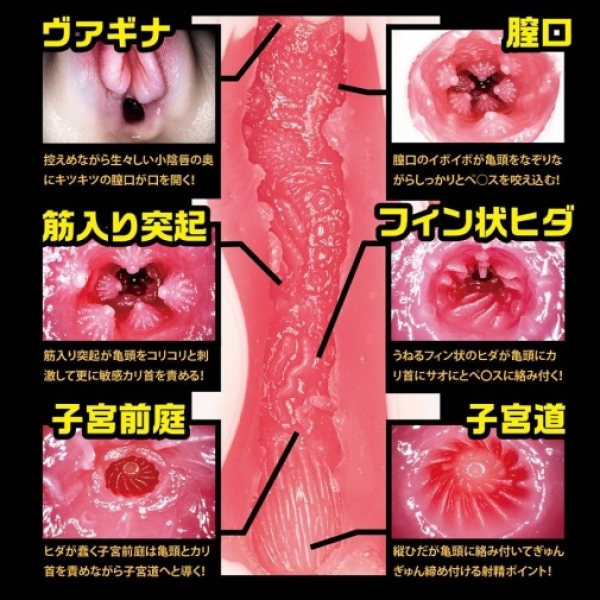 5 Mind-Blowing Features of Tsukasa Aoi File 003 Masturbator You Can't Resist