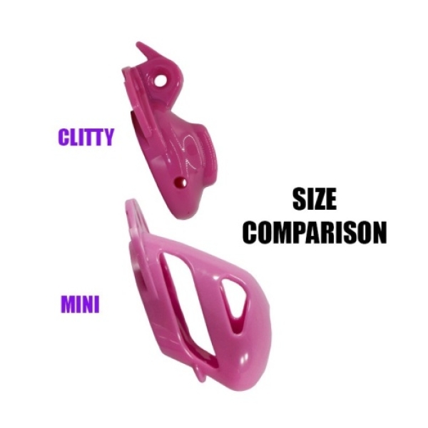 5 Reasons the Pink Vice Clitty Cage Will Transform Your Playtime Forever