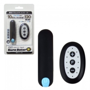 8個理由點解Remote Rorotor R黑魂版會係你今個月最抵買玩具